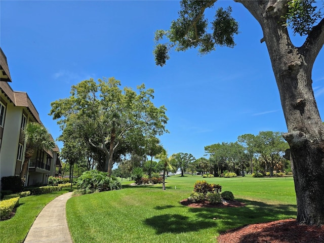 3031 Countryside Blvd Unit 35C, Clearwater, FL 33761 - view of community featuring a lawn