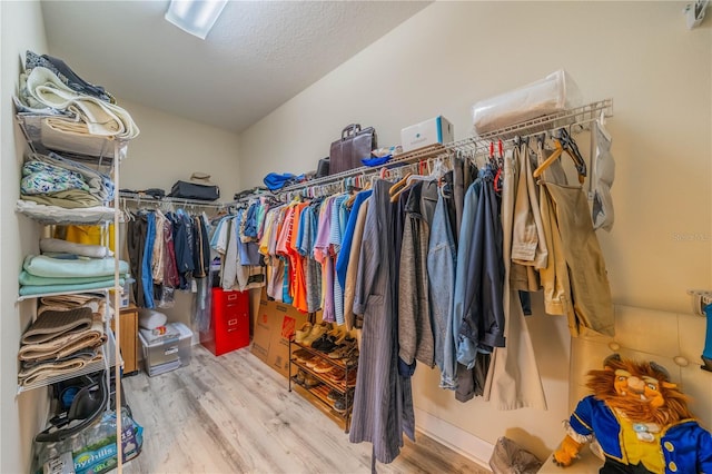 spacious closet with hardwood / wood-style flooring