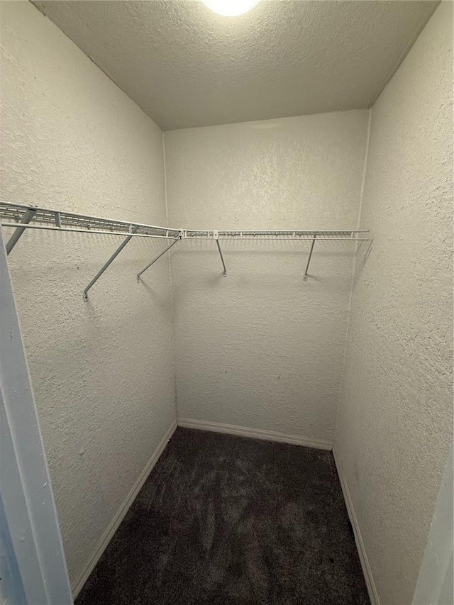 walk in closet with dark colored carpet