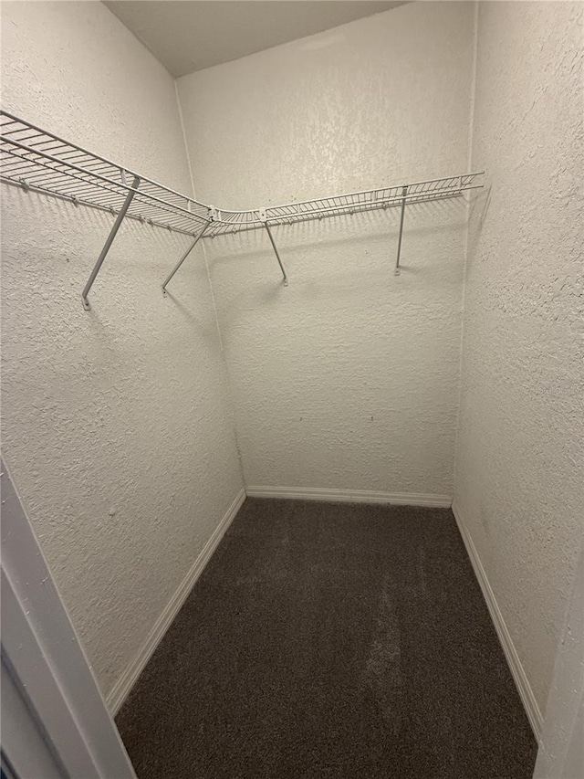 walk in closet with carpet