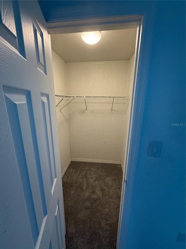 spacious closet featuring carpet floors