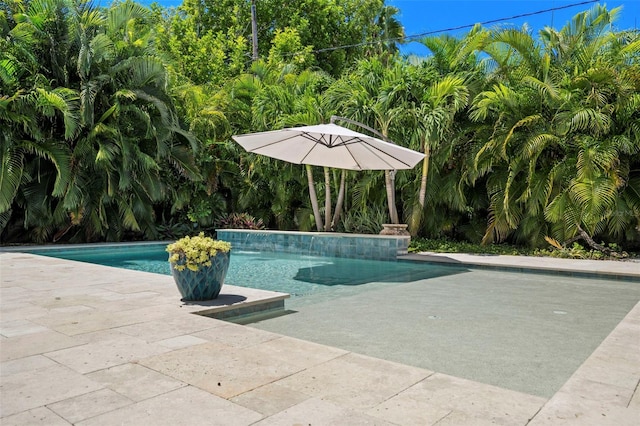 view of swimming pool