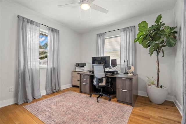 office space with light hardwood / wood-style flooring and ceiling fan