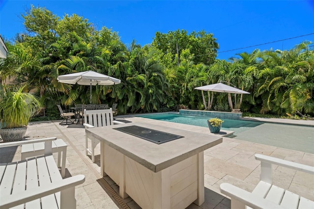 view of pool featuring a patio area