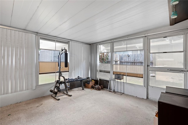 exercise area with carpet floors