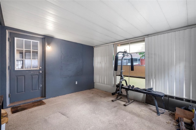 workout area featuring carpet