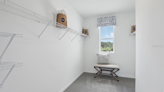 spacious closet with carpet flooring