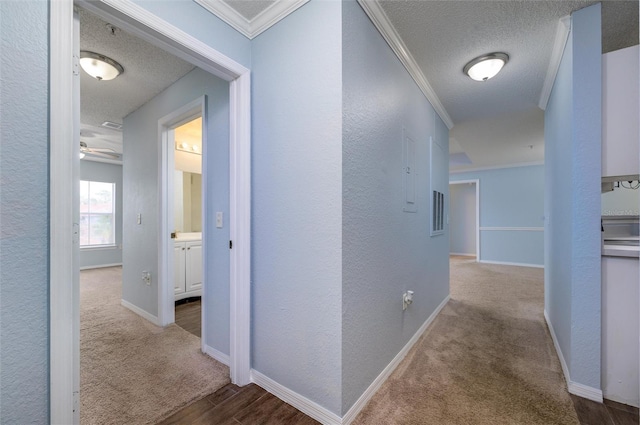 corridor featuring crown molding, wood-type flooring, and a textured ceiling