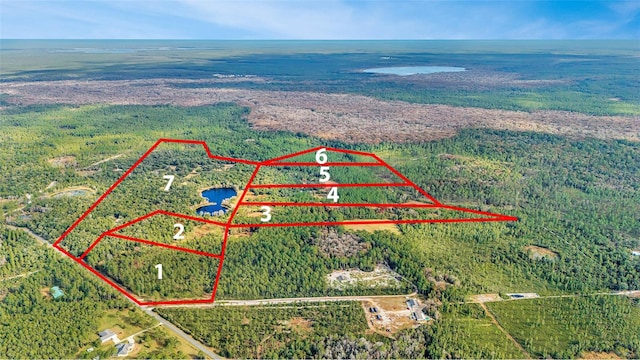 Listing photo 3 for Lot 1, Fort Mc Coy FL 32134