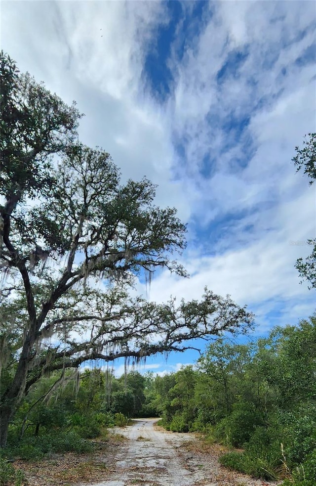 Lot 6, Fort Mc Coy, FL 32134 - photo 2