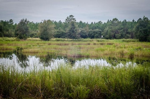 Listing photo 2 for Lot 5, Fort Mc Coy FL 32134