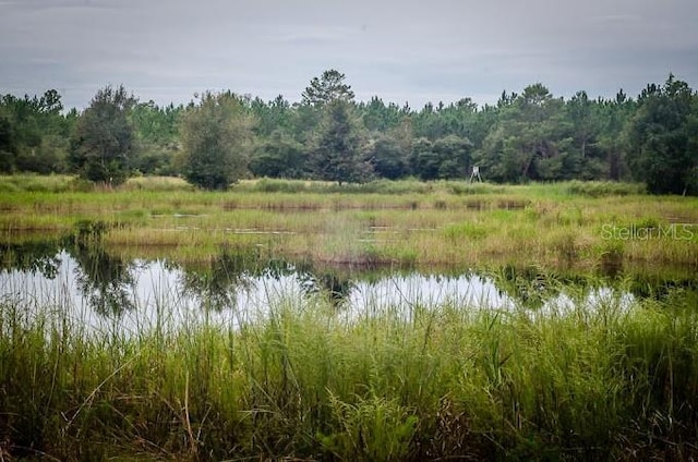 Lot 5, Fort Mc Coy, FL 32134 - photo 2