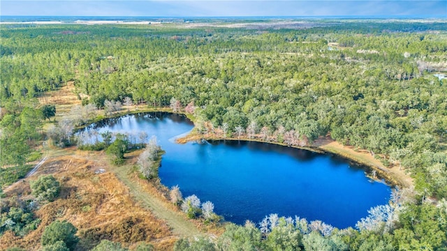 Lot 5, Fort Mc Coy, FL 32134 - photo 4
