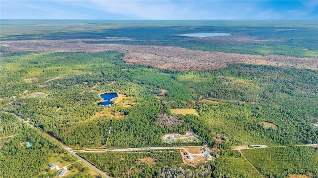 Lot 5, Fort Mc Coy, FL 32134 - photo 5