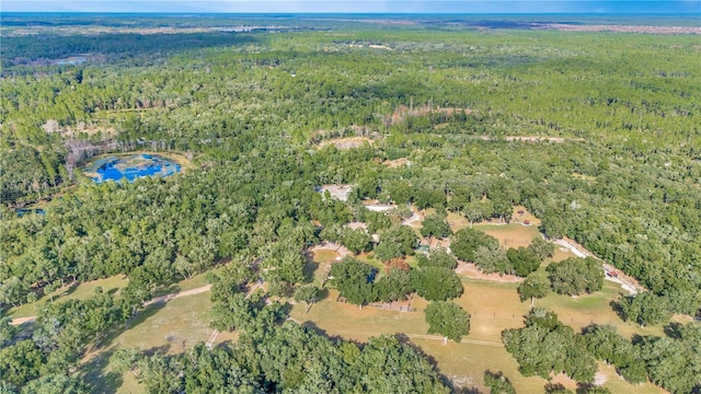 Lot 5, Fort Mc Coy, FL 32134 - photo 6