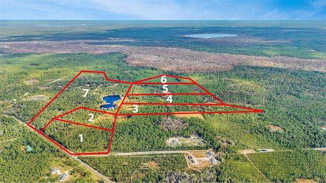 Lot 5, Fort Mc Coy, FL 32134 - photo 7
