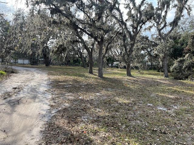 view of street