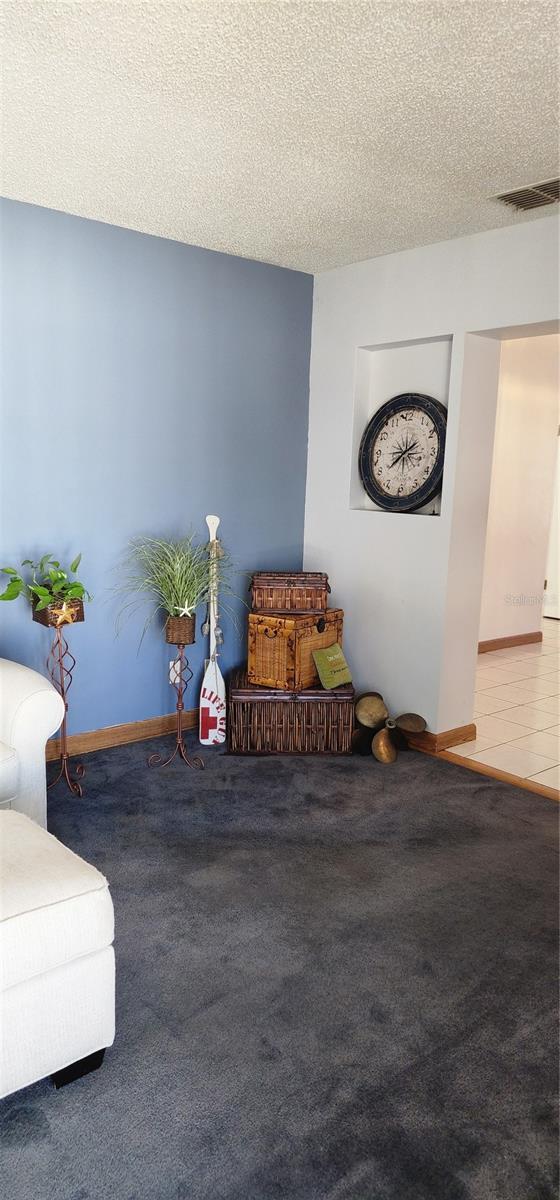 sitting room featuring carpet floors and a textured ceiling