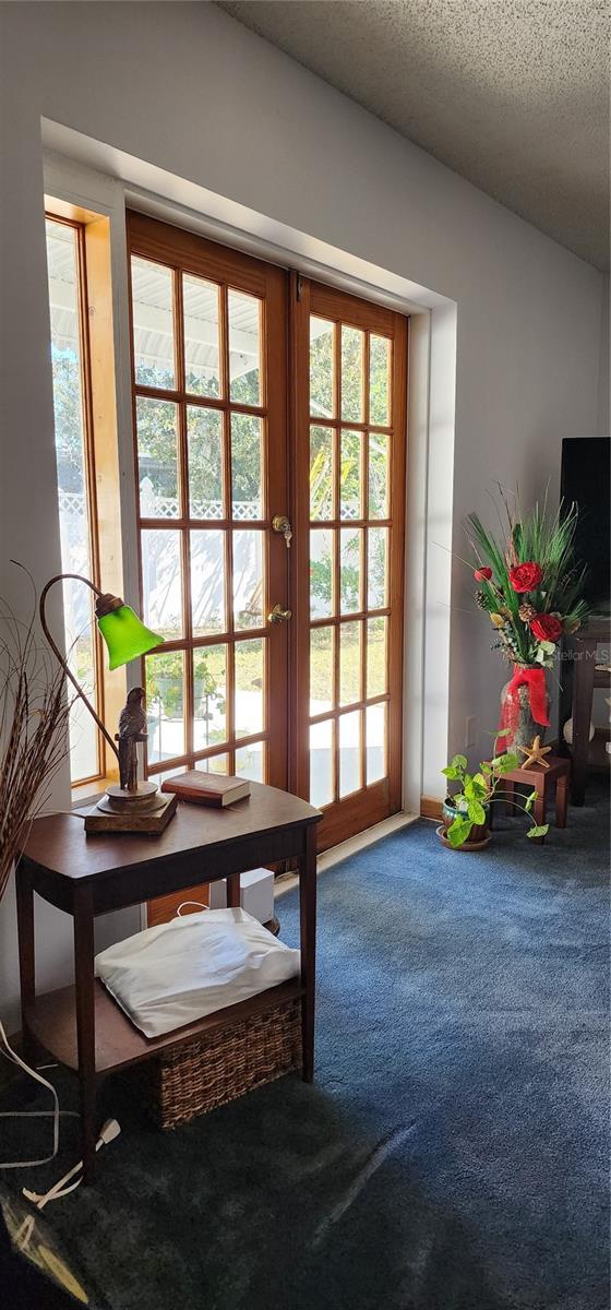 doorway with carpet, a healthy amount of sunlight, a textured ceiling, and french doors