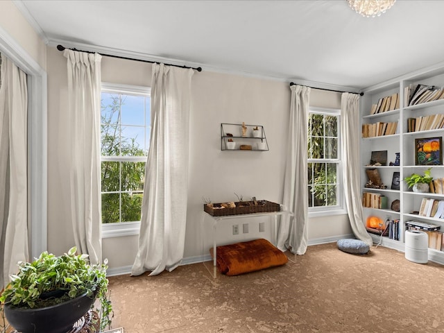 living area featuring a wealth of natural light and ornamental molding