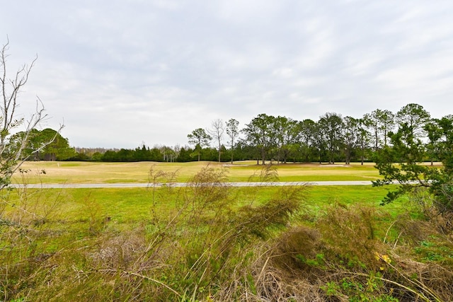 view of yard featuring a rural view