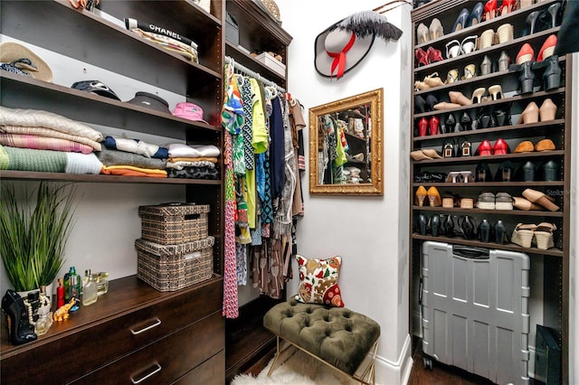 spacious closet with hardwood / wood-style flooring