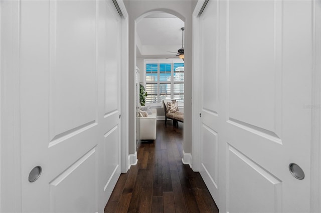 corridor with dark wood-type flooring