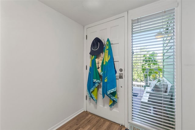 doorway to outside featuring wood-type flooring