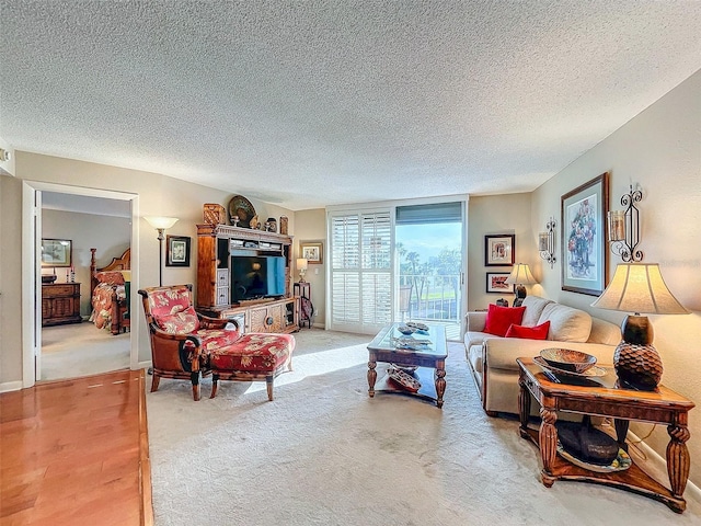 carpeted living room featuring a textured ceiling