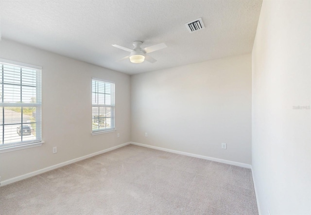 unfurnished room with a textured ceiling, light carpet, and a wealth of natural light