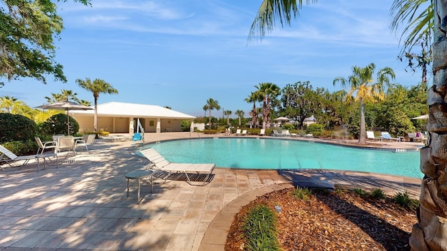 view of swimming pool featuring a patio area