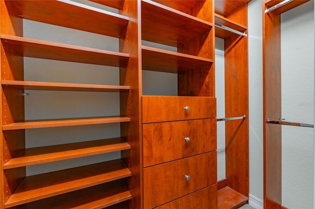 view of walk in closet