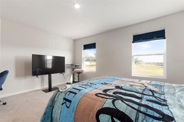 bedroom featuring carpet