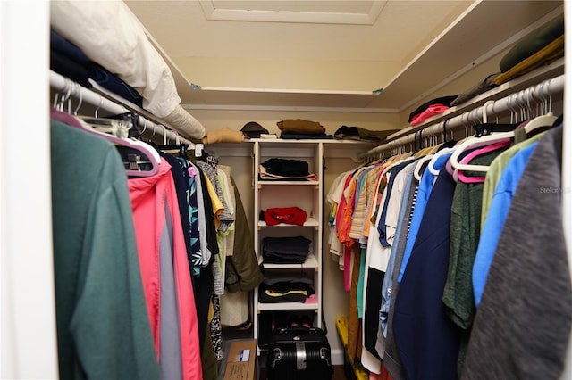 view of walk in closet