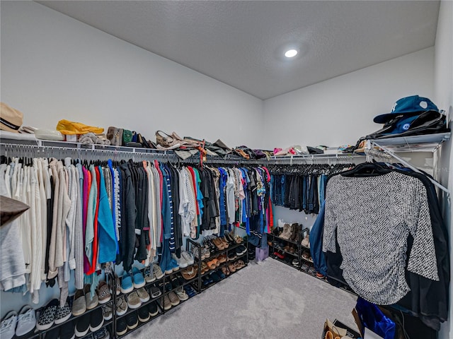 walk in closet featuring carpet floors