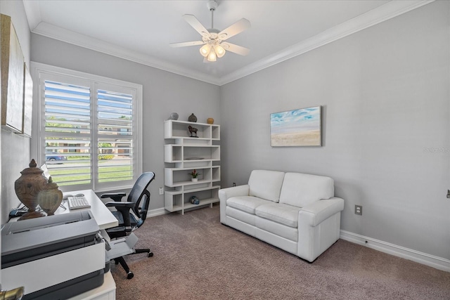 office featuring carpet, ceiling fan, and ornamental molding