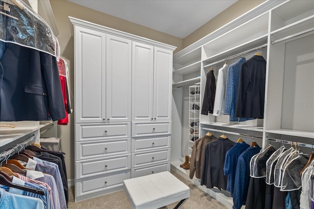 spacious closet featuring light colored carpet