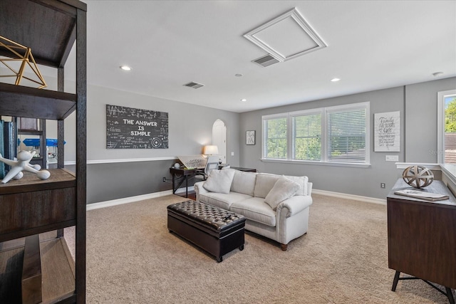 carpeted living room with plenty of natural light