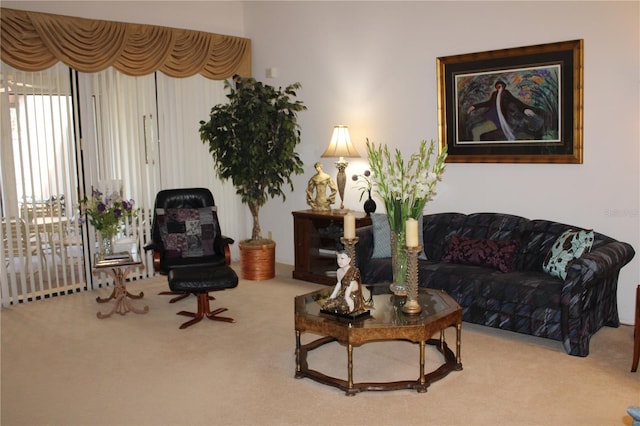 living area featuring carpet floors