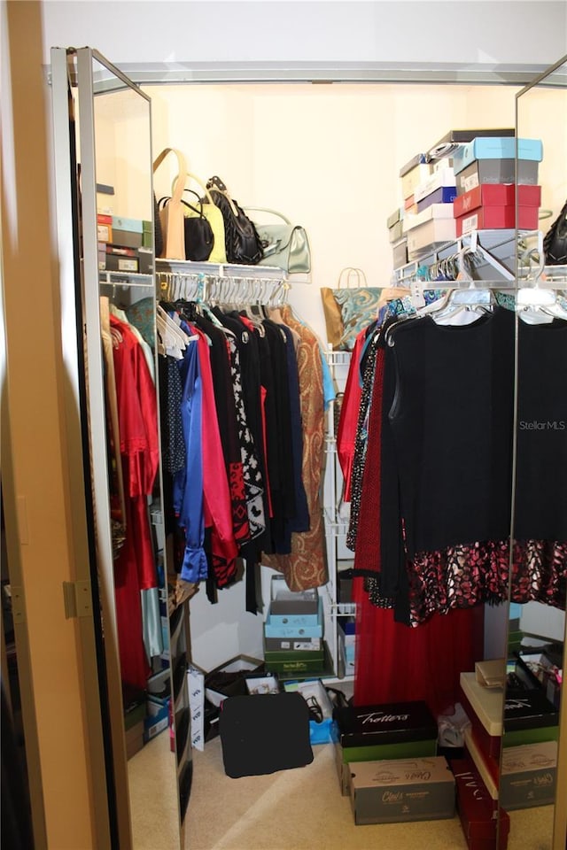 walk in closet featuring carpet floors