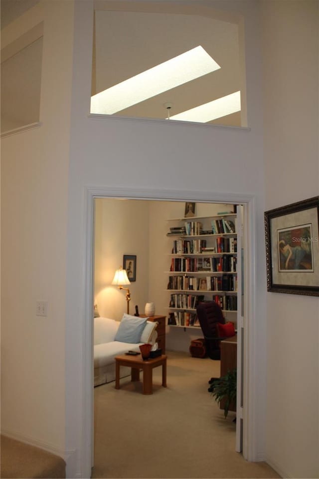 interior space with carpet and a high ceiling