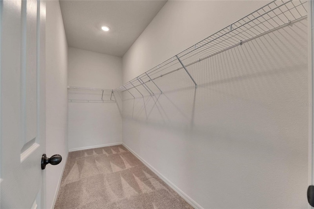 walk in closet with light colored carpet