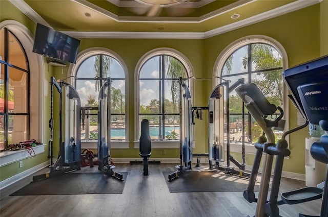 exercise room with ornamental molding, hardwood / wood-style flooring, and a tray ceiling