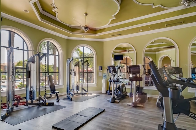 exercise room with ceiling fan, wood-type flooring, ornamental molding, and a tray ceiling