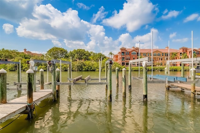 dock area with a water view