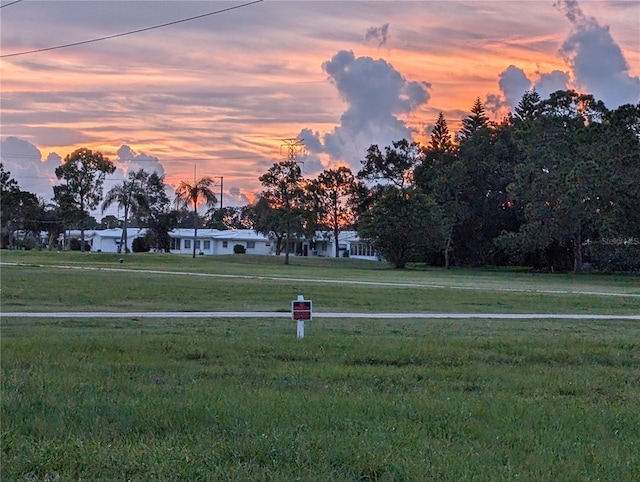 view of yard at dusk