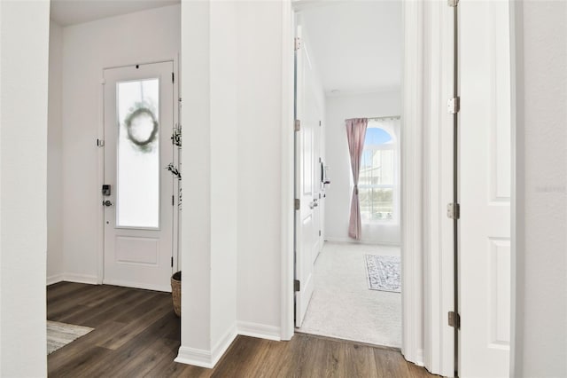 foyer featuring dark hardwood / wood-style floors