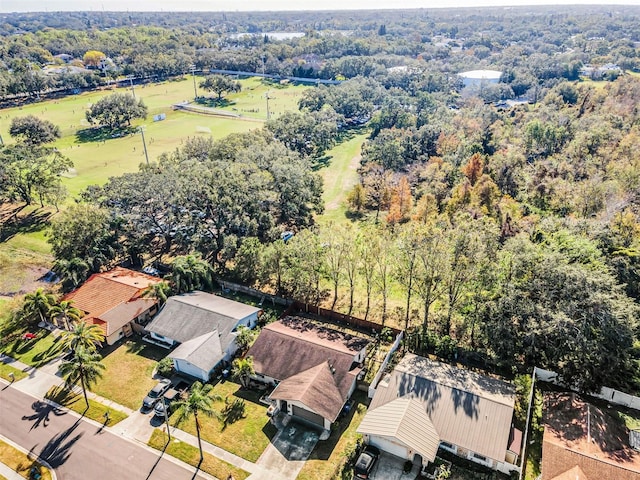 1597 Franklin Way, Dunedin, FL 34698 - photo 11