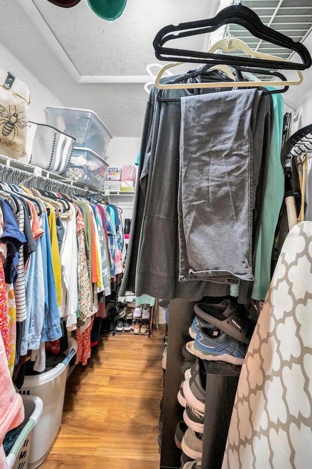 walk in closet with hardwood / wood-style flooring