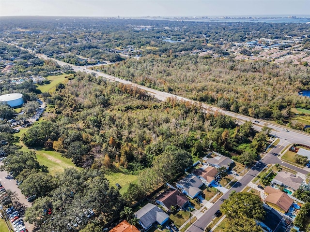 1597 Franklin Way, Dunedin, FL 34698 - photo 63